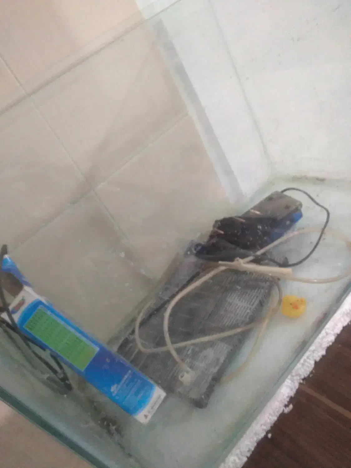 آکواریوم|ماهی|مبارکه, |دیوار