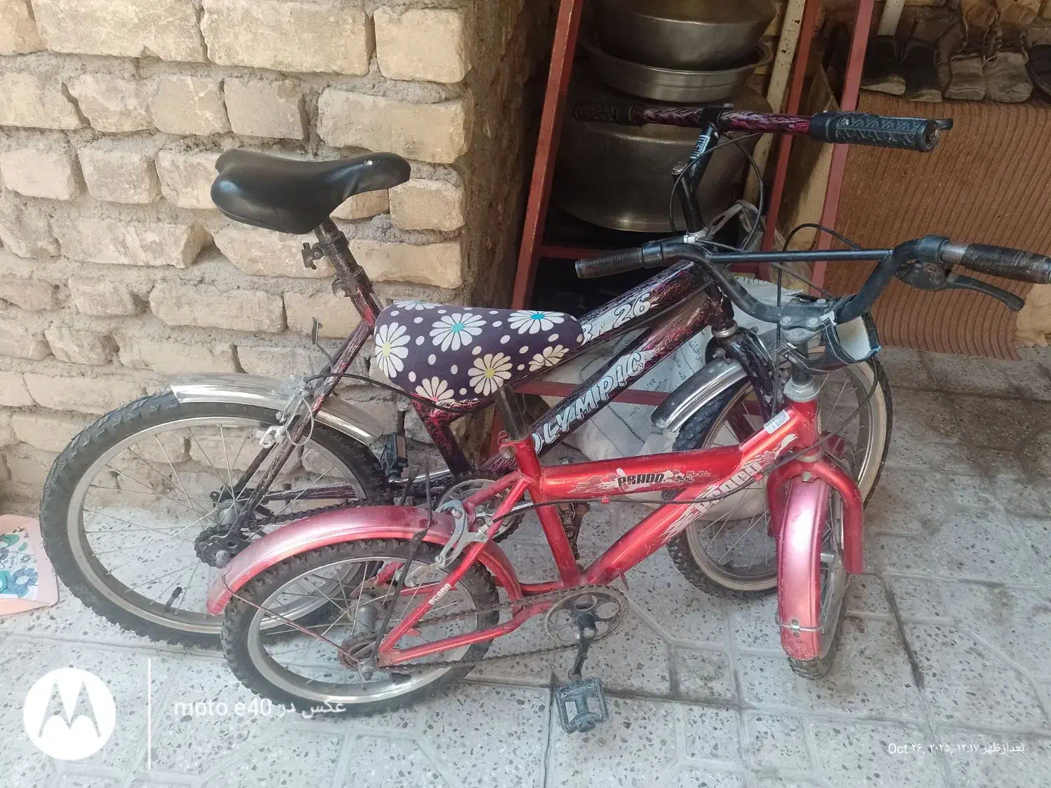 دوچرخه 20و16|دوچرخه، اسکیت، اسکوتر|مرودشت, سهلآباد|دیوار