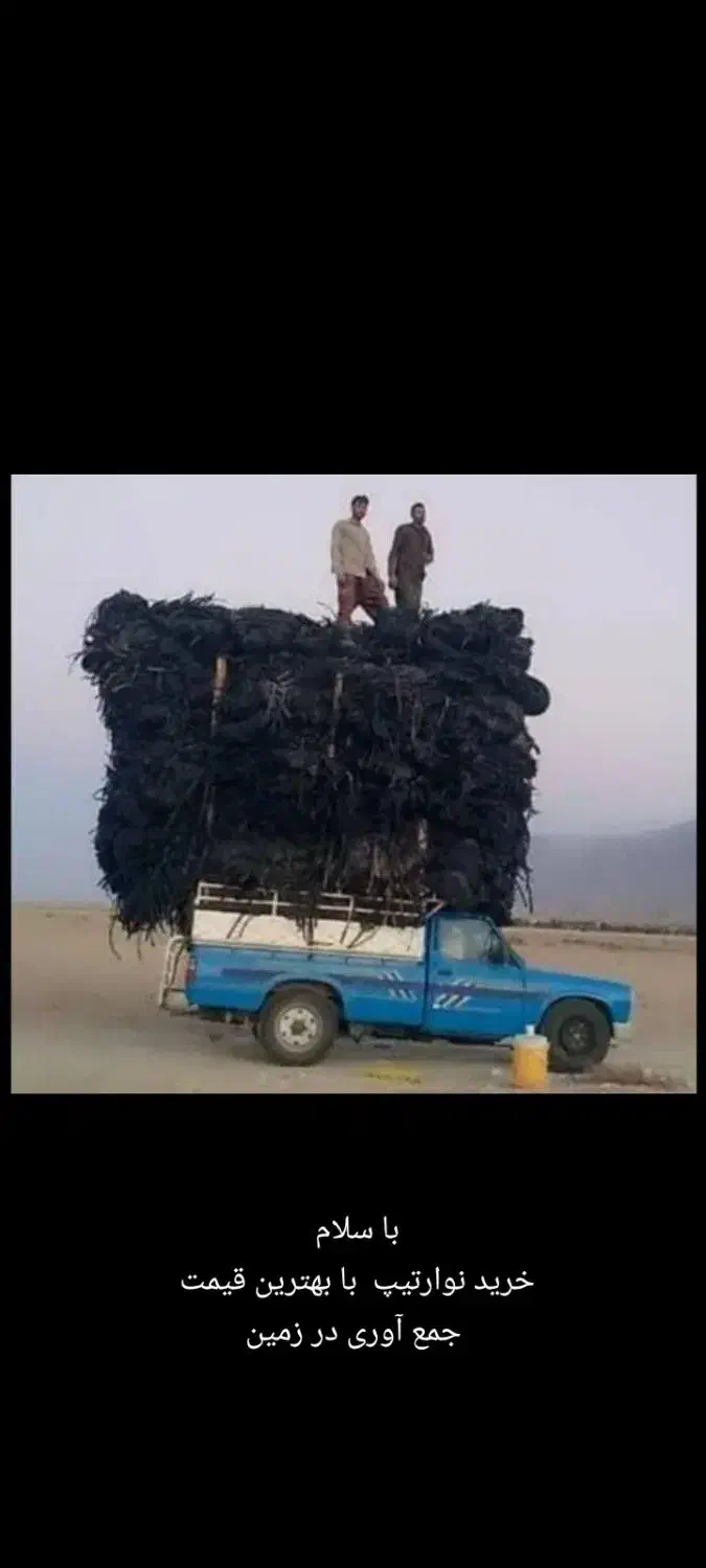 بهترین خریدار نوار تیپ ،قطره ای|خدمات باغبانی و درختکاری|اقلید, |دیوار