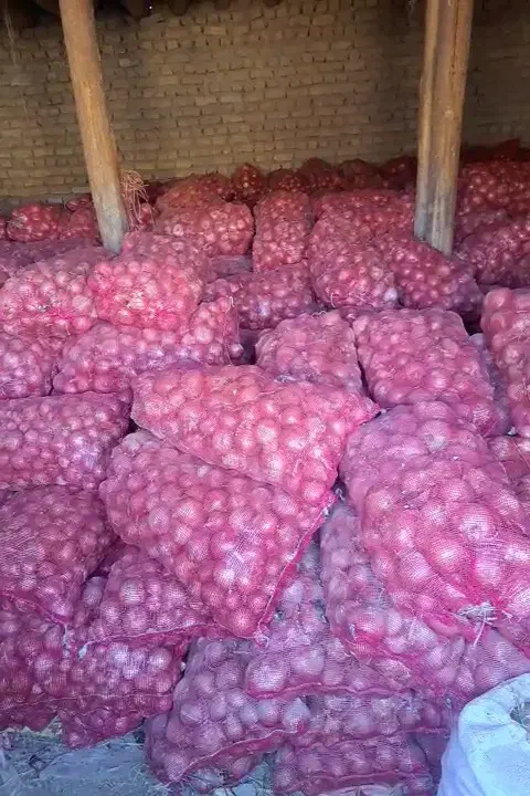 پیاز فلات|خوردنی و آشامیدنی|گرمخان, |دیوار