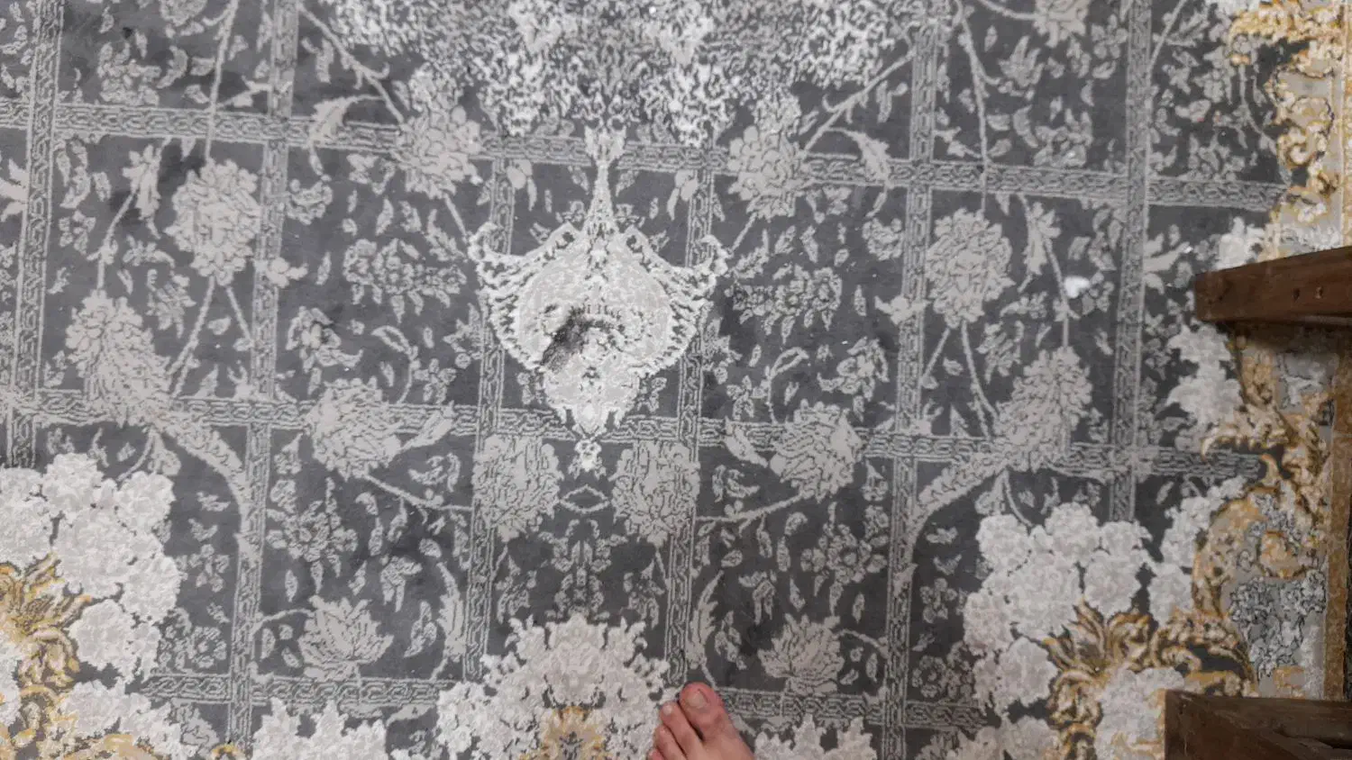 فرش ماشینی ۹ متری|فرش|تبریز, |دیوار