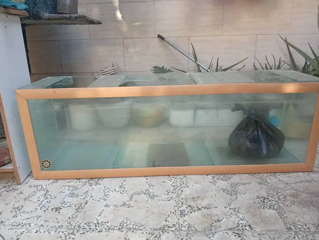 فروش آکواریوم سالم همراه تخفیف ویژه|ماهی|آستانه اشرفیه, |دیوار