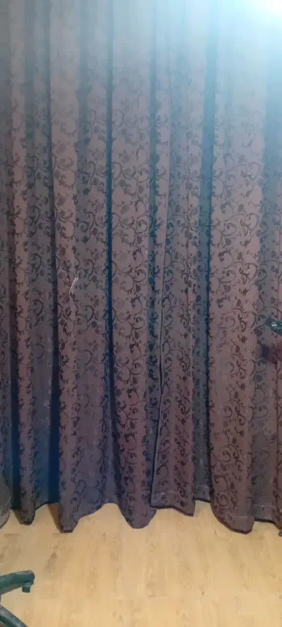 ارایشگاه|آرایشگاه و سالن‌های زیبایی|تایباد, |دیوار