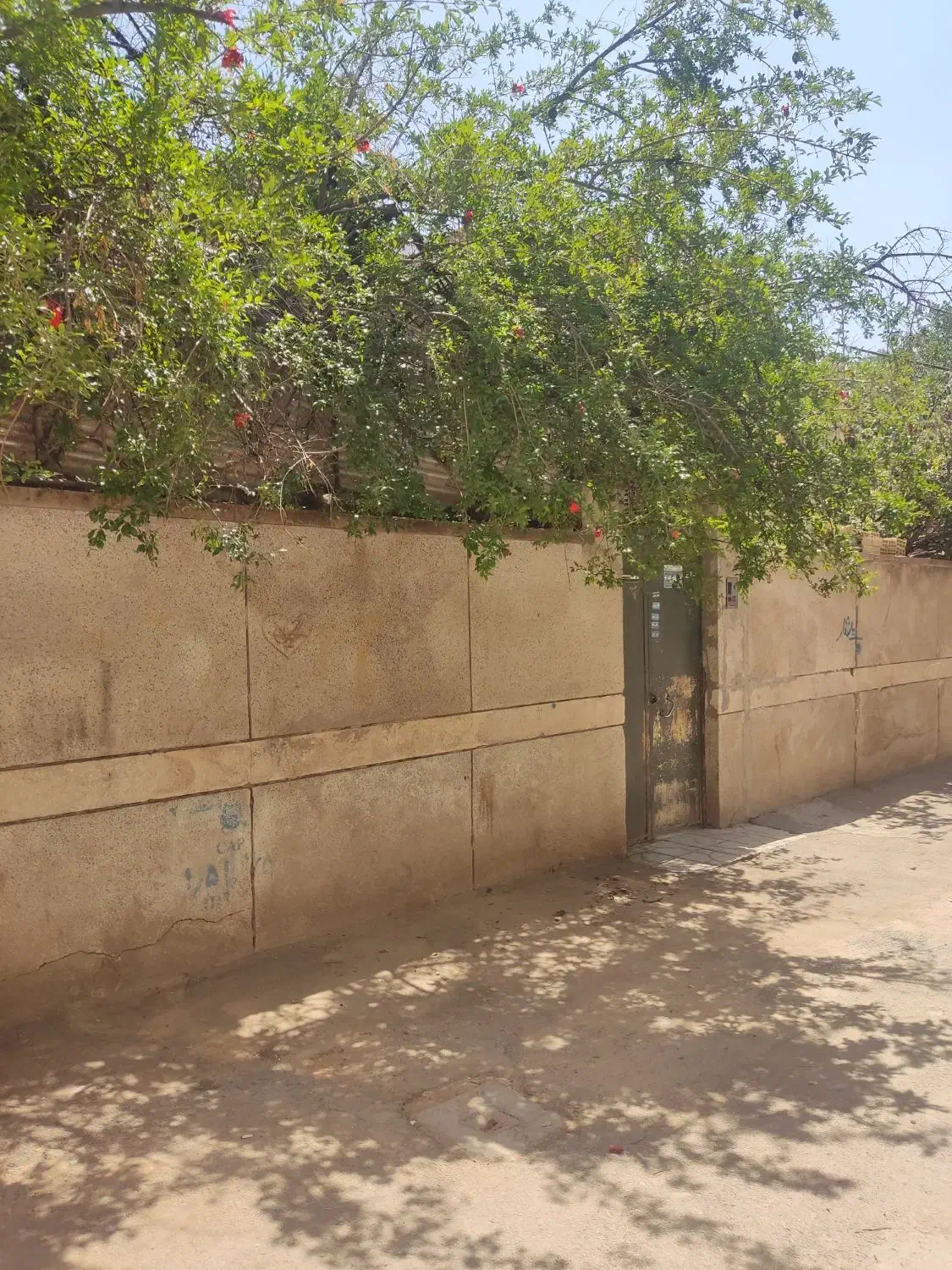 اجاره اتاق ماهانه|اجارهٔ کوتاه‌مدت آپارتمان و سوئیت|شیراز, سیاه سنگ|دیوار