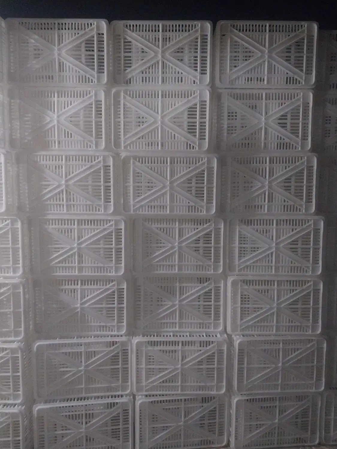 سبد حمالی ۲۰ کیلویی|عمده‌فروشی|کوهنانی, |دیوار