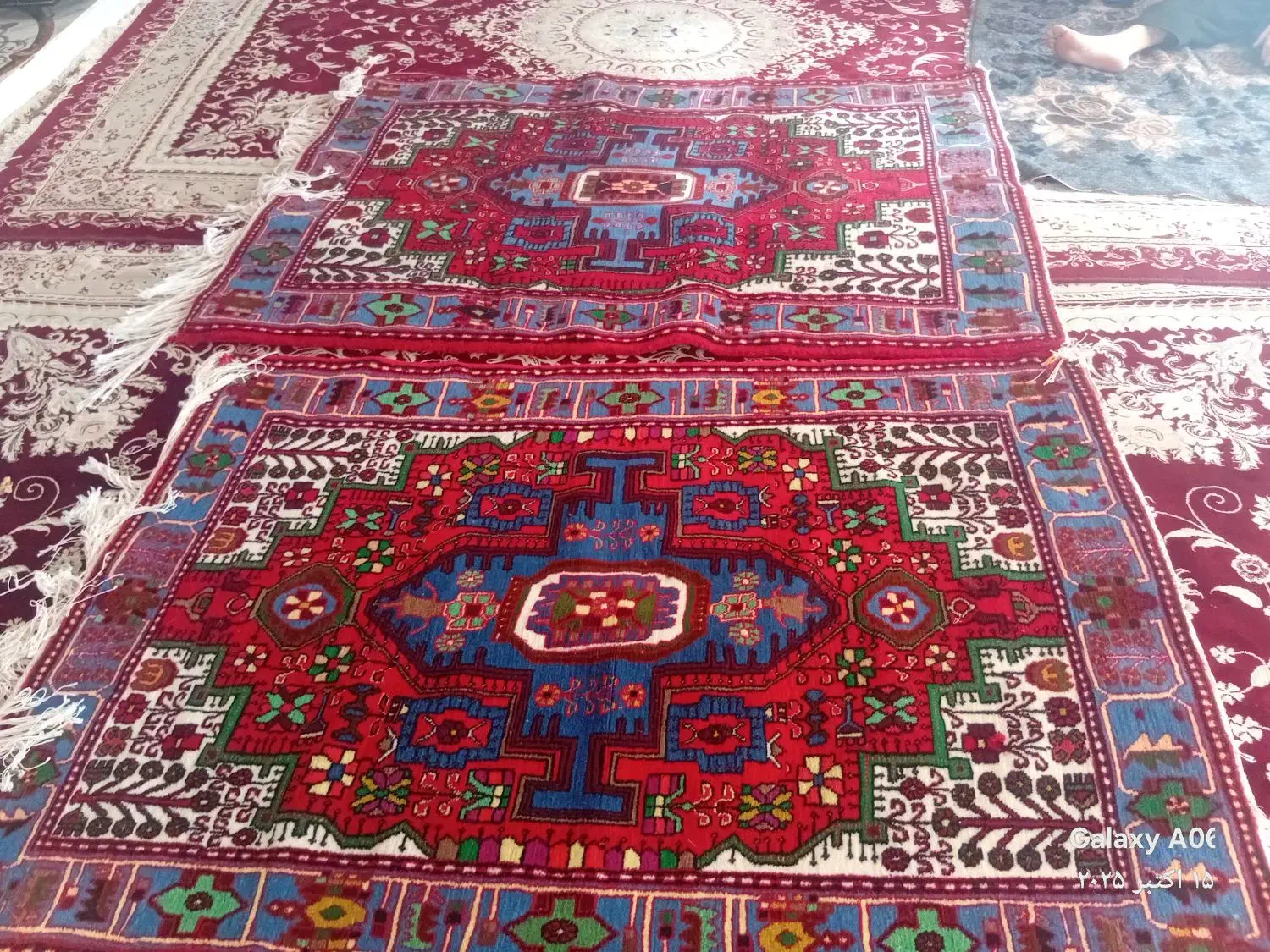 قالی دستباف گرگ حیدری|فرش|نهاوند, |دیوار