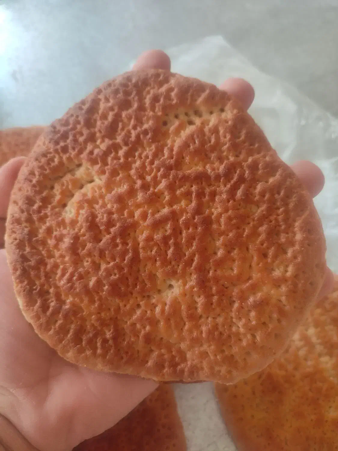 شیر مال|خوردنی و آشامیدنی|تهران, گلاب دره|دیوار