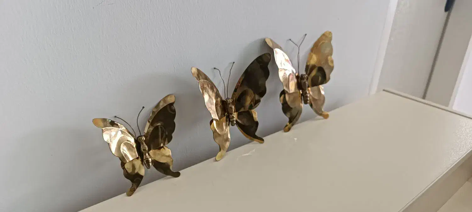 پروانه برنز اصل تضمینی|صنایع دستی و سایر لوازم تزئینی|فردیس, شهرک ارم|دیوار