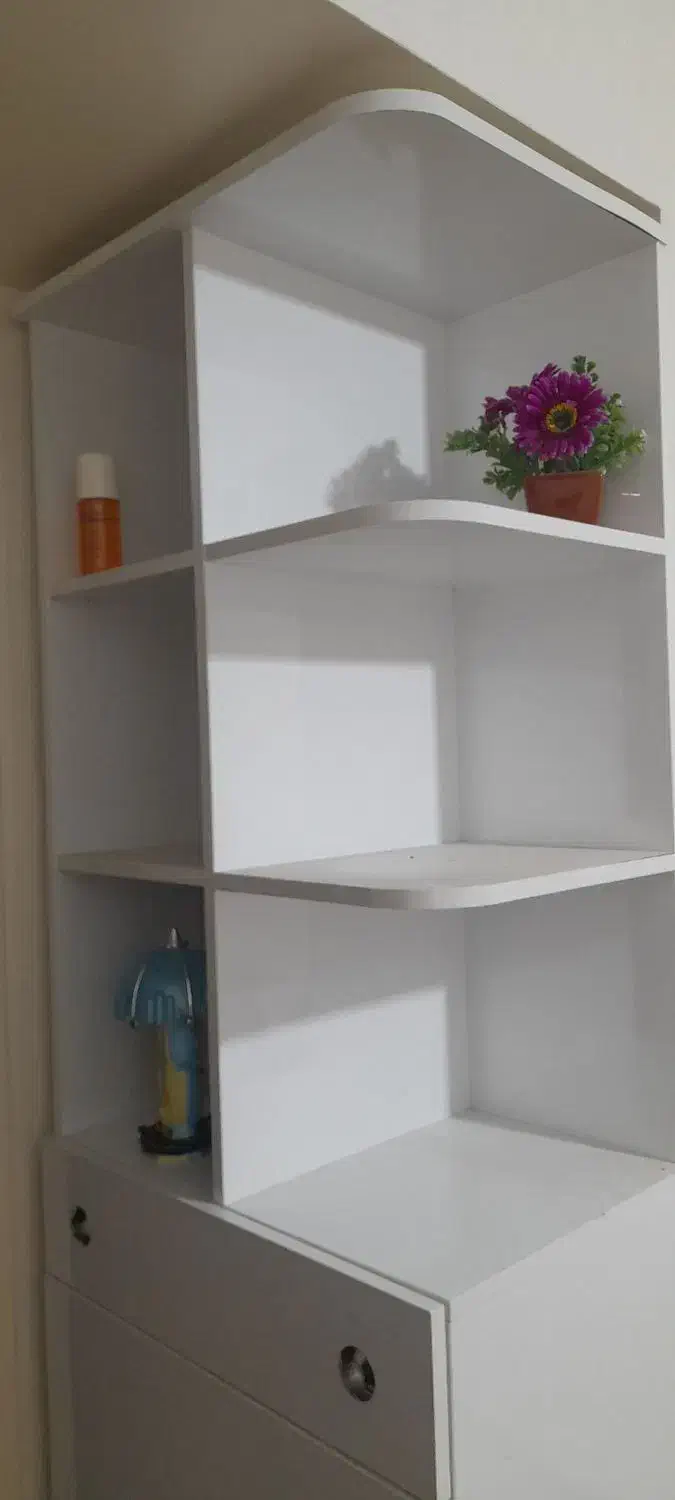 کمد کتابخونه دکوری دار|کتابخانه، شلف، قفسههای دیواری|تهران, مسعودیه|دیوار