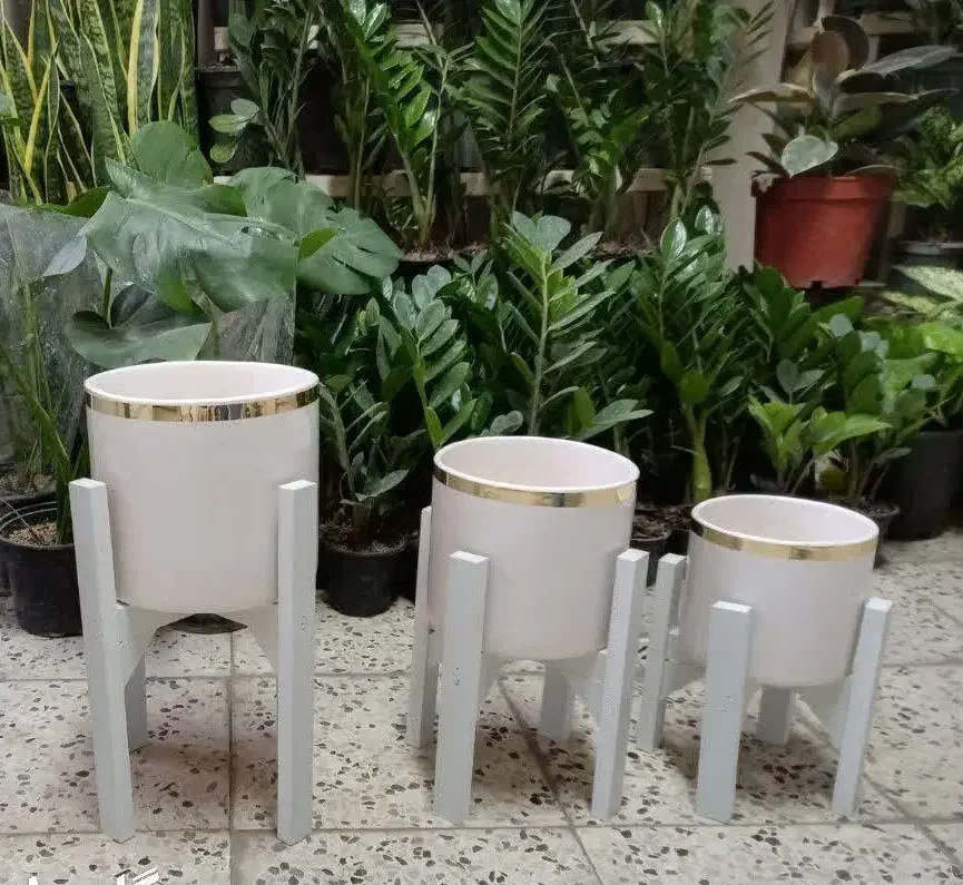 پایه گل و گلدون سه تایی|گل و گیاه طبیعی|مشهد, تلگرد|دیوار