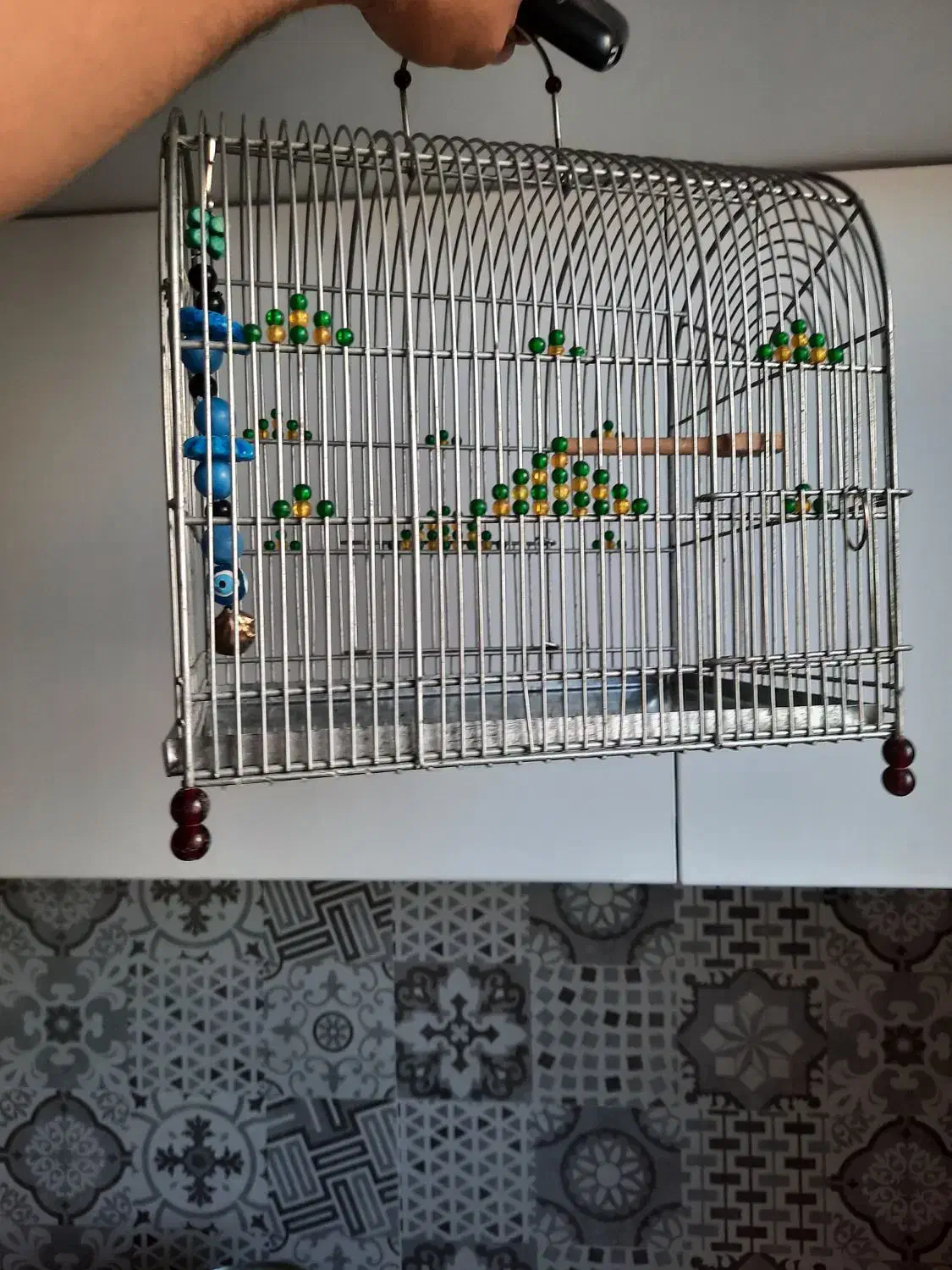 مرغ عشق ،قفس،لانه،کوزه|پرنده|شاهرود, |دیوار