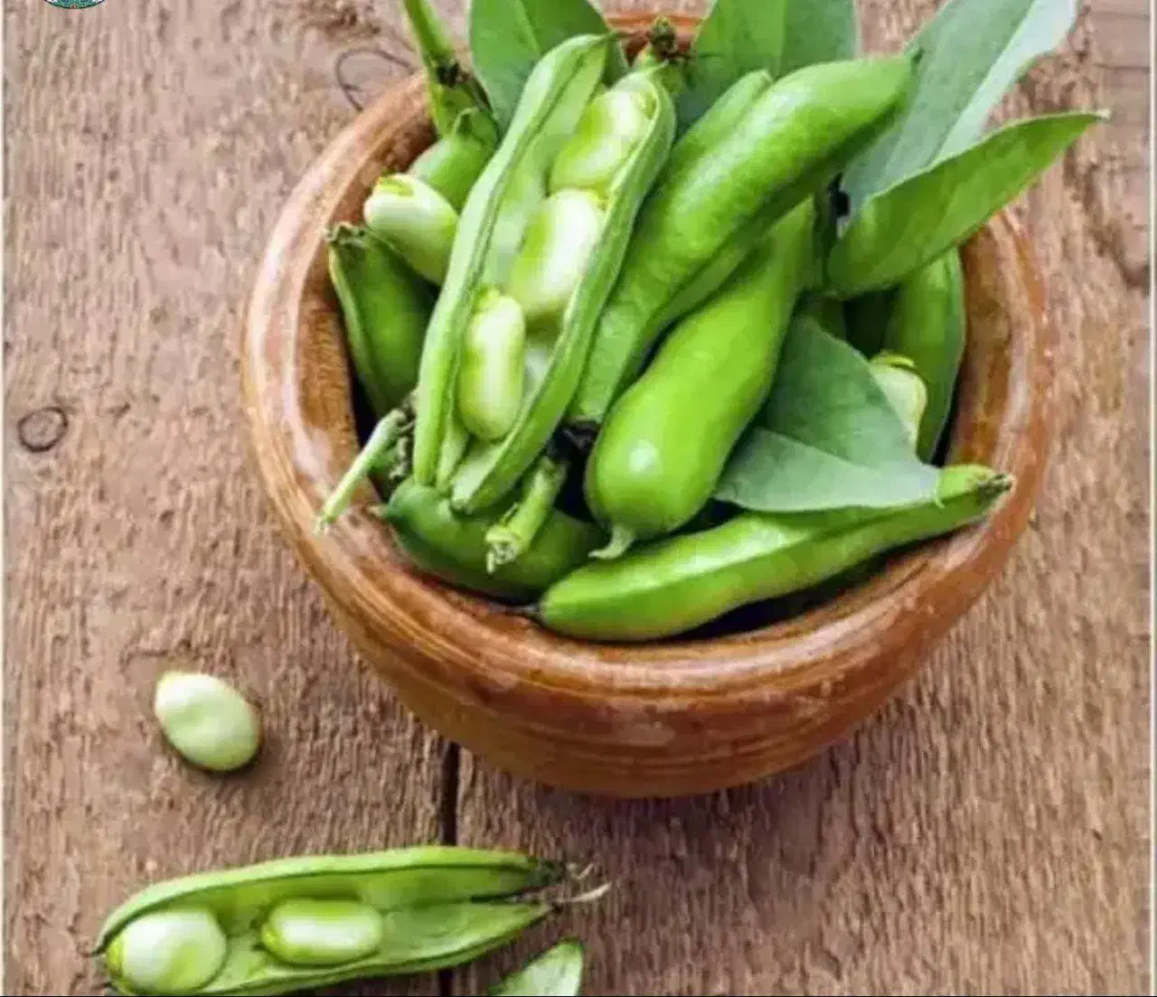 آموزش درمانگری همراه کار آفرینی بصورت آنلاین|خدمات آموزشی|شاهینشهر, شهرک امام رضا|دیوار