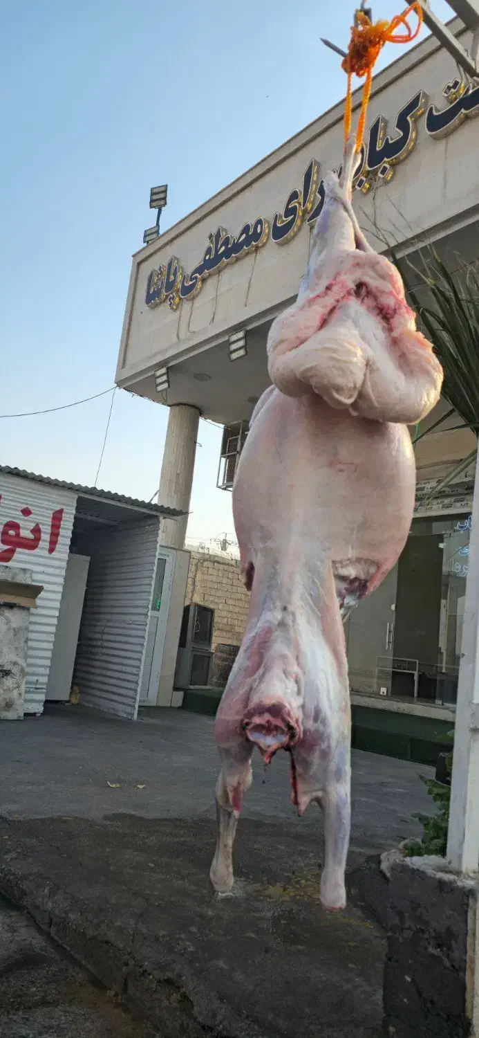 اجاره دوباب مغازه|اجارهٔ مغازه و غرفه|اندیمشک, |دیوار