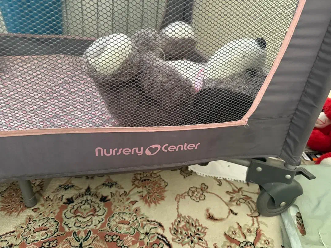 تخت بچه|تخت و صندلی بچه|رودهن, |دیوار