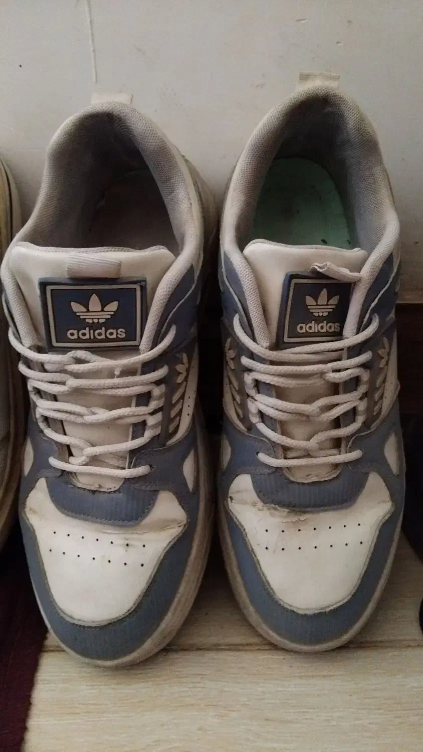 کفش|کیف، کفش، کمربند|سبزوار, شرق کال عیدگاه|دیوار