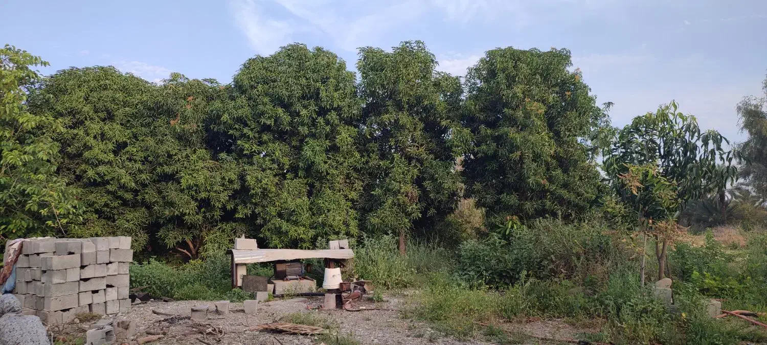 باغ در رودان گشوییه|فروش خانه و ویلا|بیکاه, |دیوار