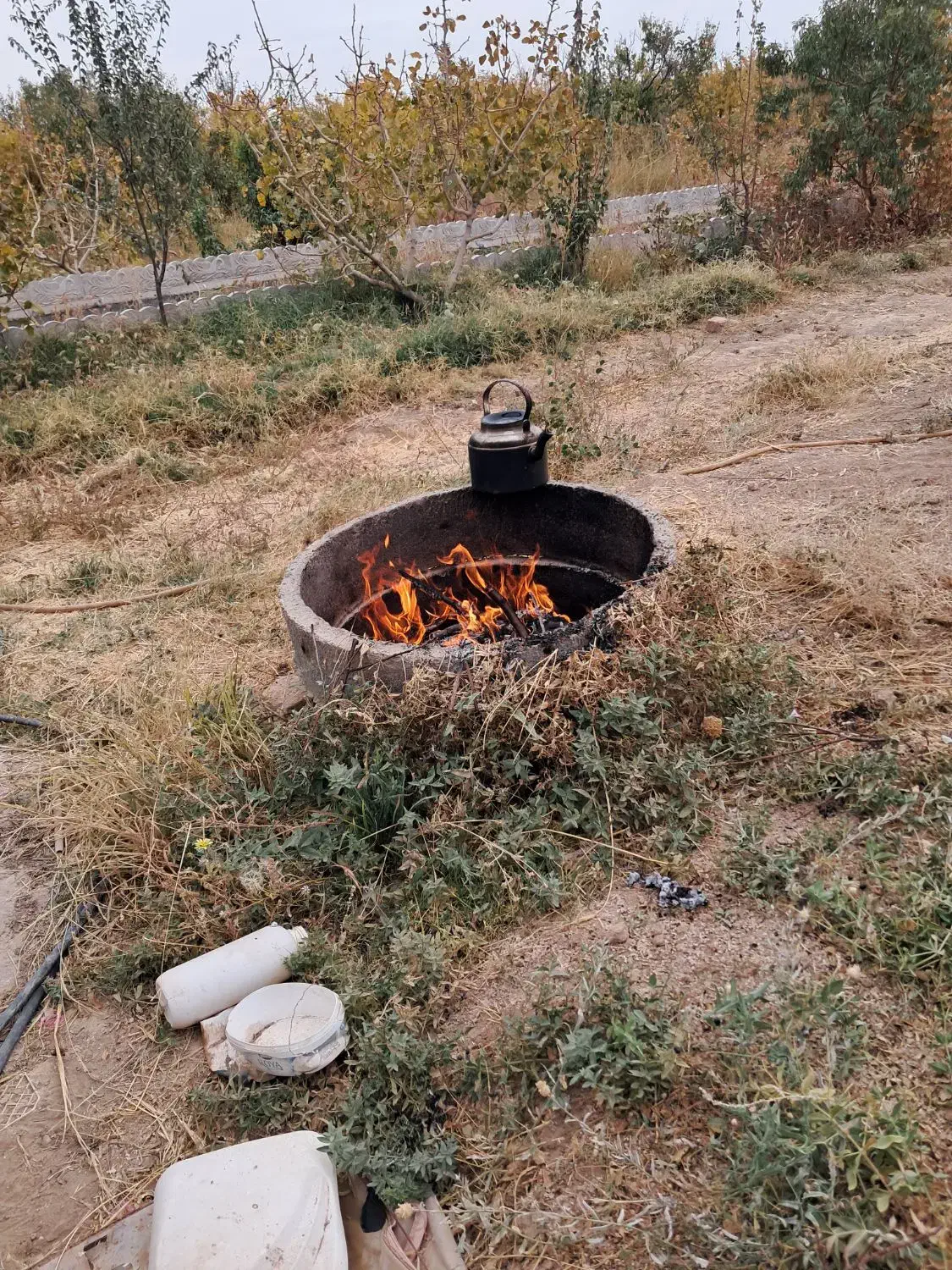تهاتر باغ مثمر میوه با آپارتمان یا ماشین|فروش دفتر صنعتی، کشاورزی، تجاری|زاویه, |دیوار