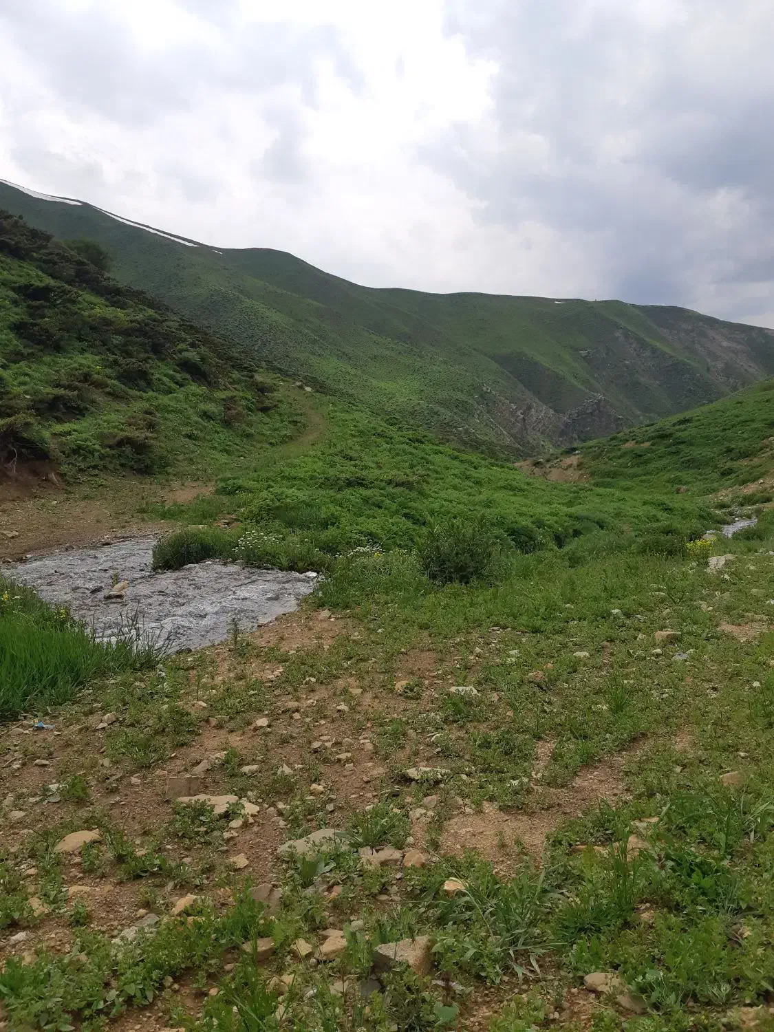 طبیعت گردی|تور و چارتر|سیلوانه, |دیوار