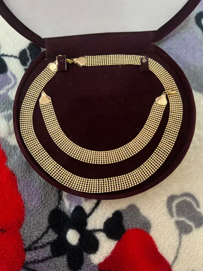 بدلیجات|بدلیجات|گلوگاه, |دیوار