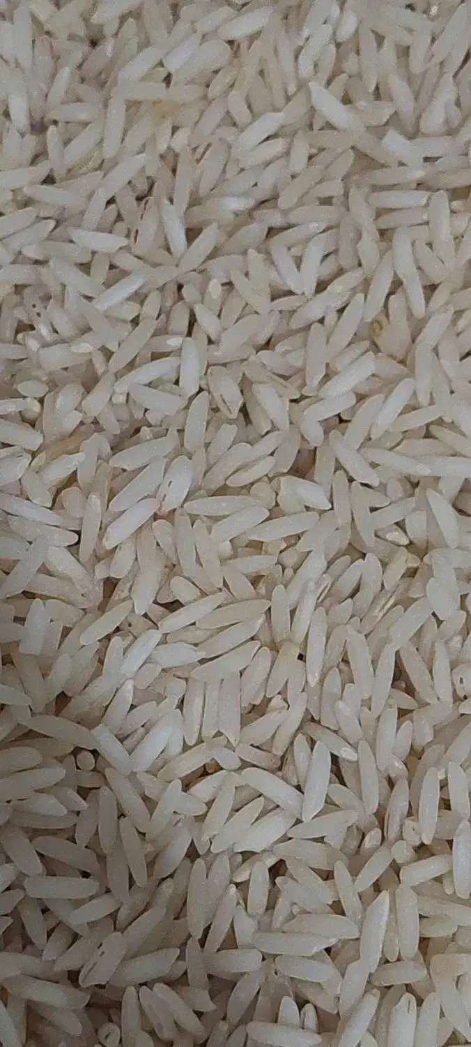 برنج هاشمی درجه ۱|خوردنی و آشامیدنی|تهران, شهید رجایی|دیوار