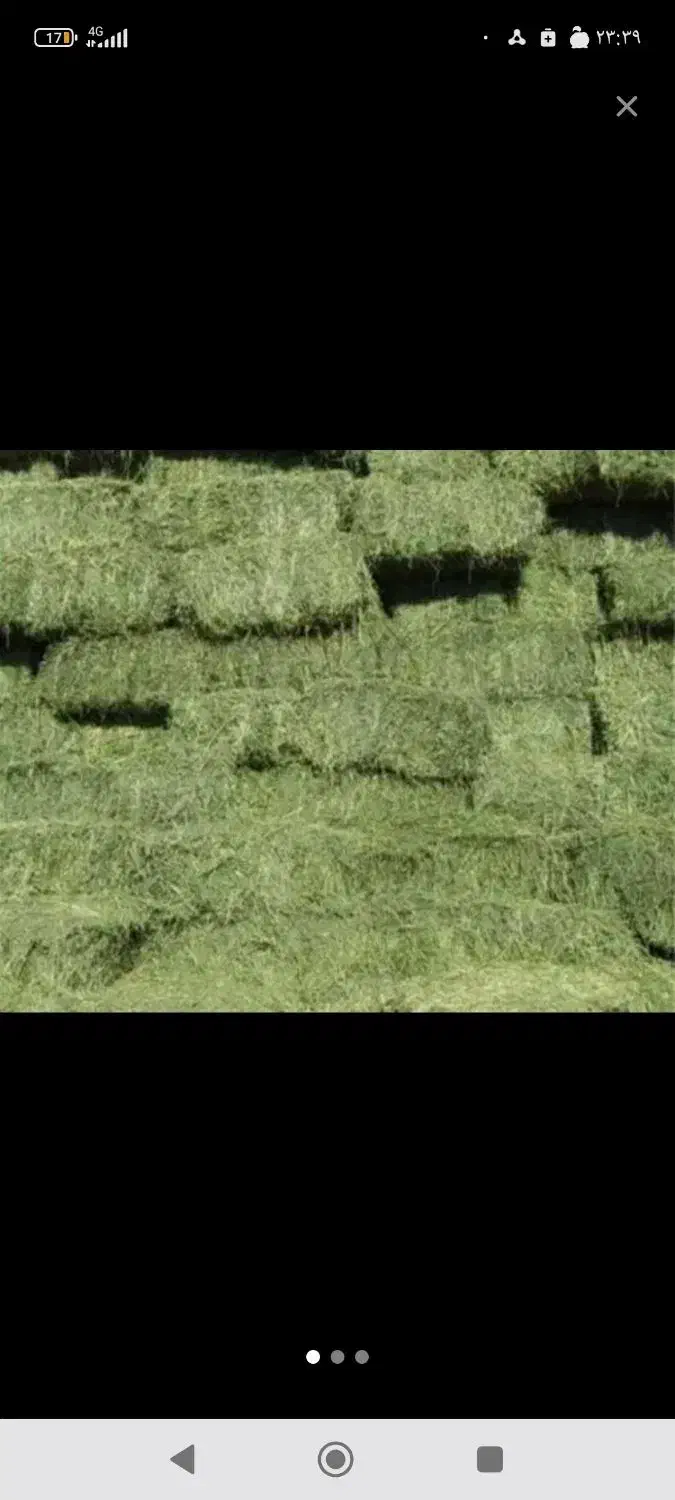 یونجه|لوازم جانبی حیوانات|ارسنجان, |دیوار