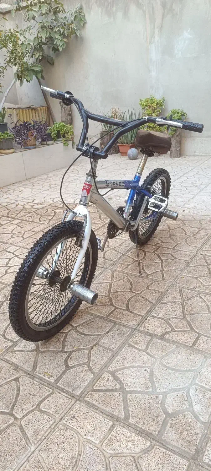 دوچرخه ماکسیما حرفه ای سایز ۲۰|دوچرخه، اسکیت، اسکوتر|قرچک, زیبا شهر|دیوار