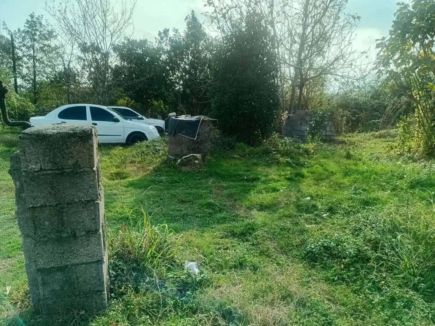 فروش زمین ۴۶۵متری|فروش زمین و ملک کلنگی|شاندرمن, |دیوار