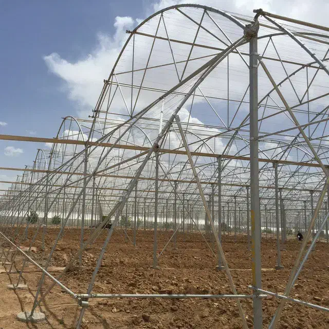 گلخانه ۳۰۰۰|عمدهفروشی|تهران, پاسداران|دیوار