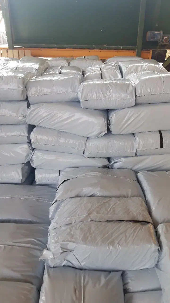 ذرت سیلاژ پر دان|عمده‌فروشی|بشاریات, |دیوار