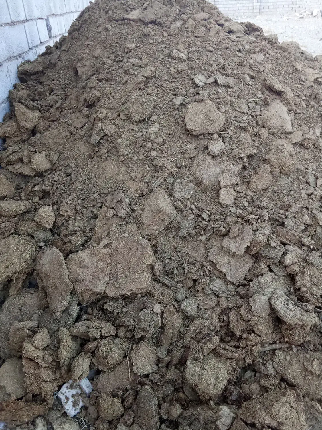 کود حیوانی گاو|خدمات باغبانی و درختکاری|درمیان, |دیوار