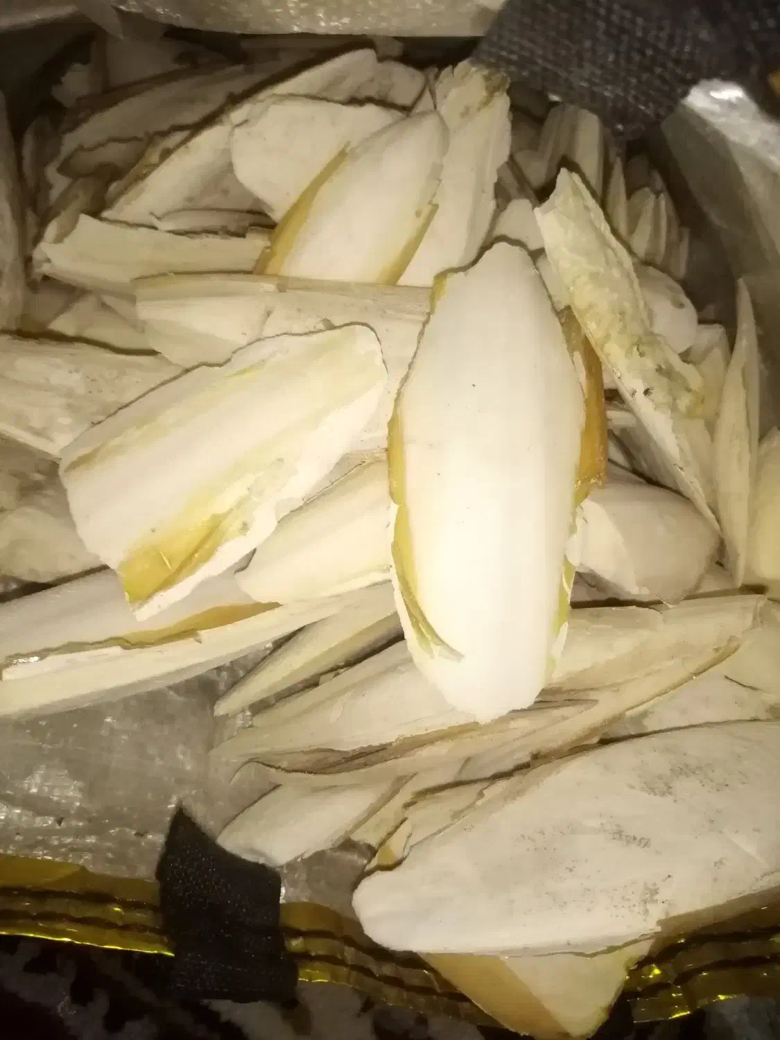 کف دریا|عمده‌فروشی|باوی, |دیوار