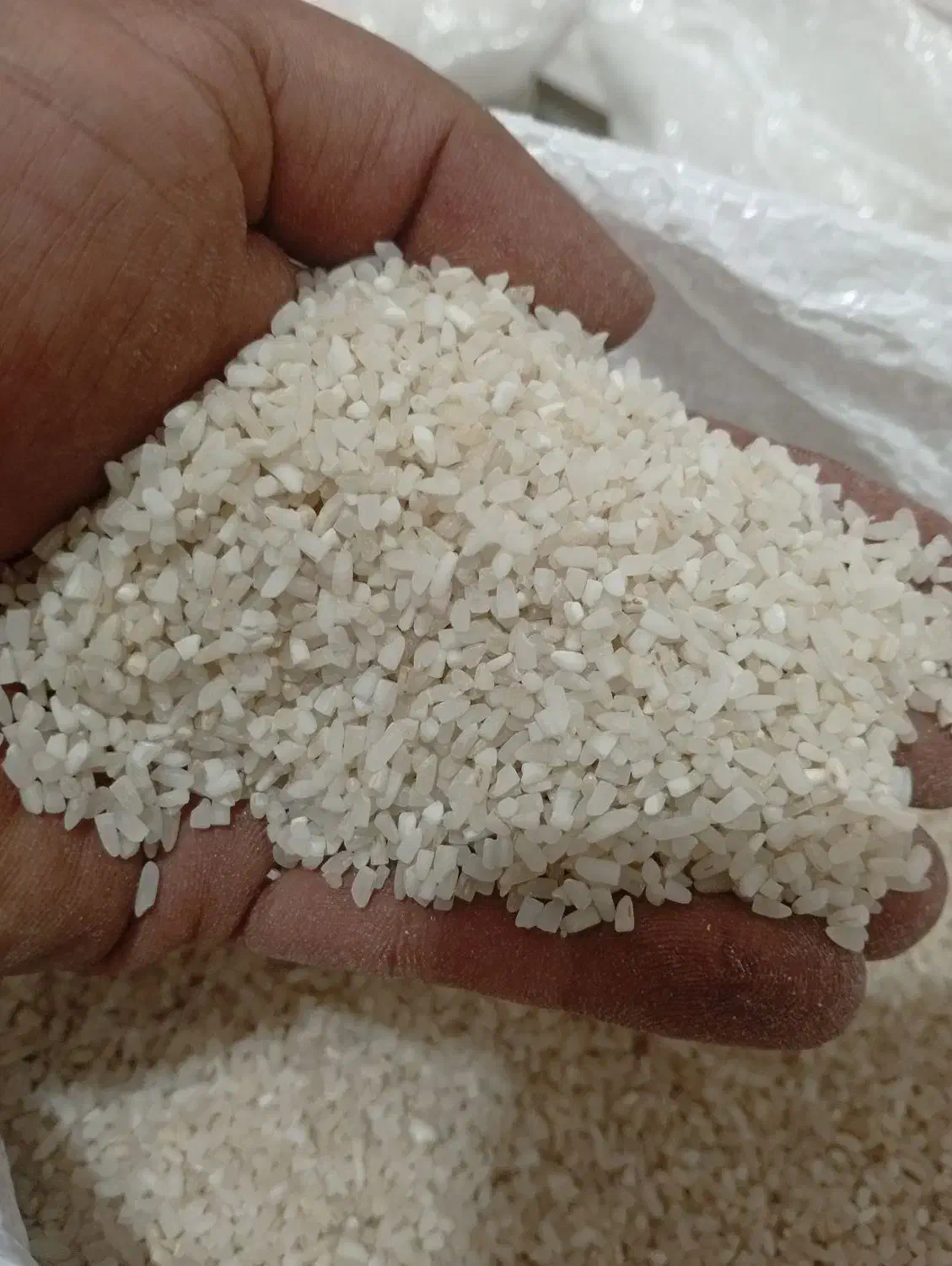 برنج نیم دونه رسید....|خوردنی و آشامیدنی|قرچک, داوود آباد|دیوار