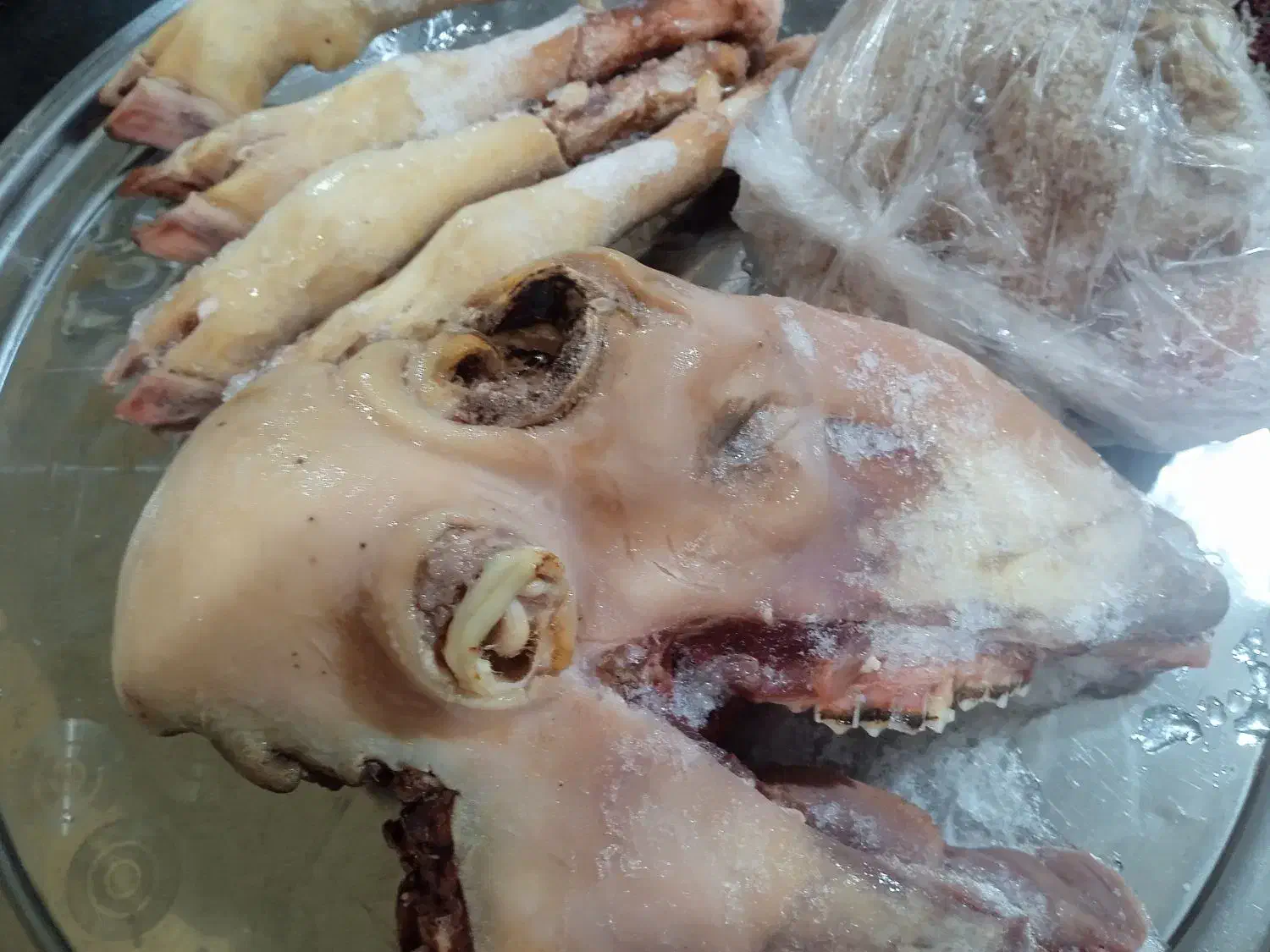 کله پاچه گوسفند|خوردنی و آشامیدنی|مسجد سلیمان, |دیوار