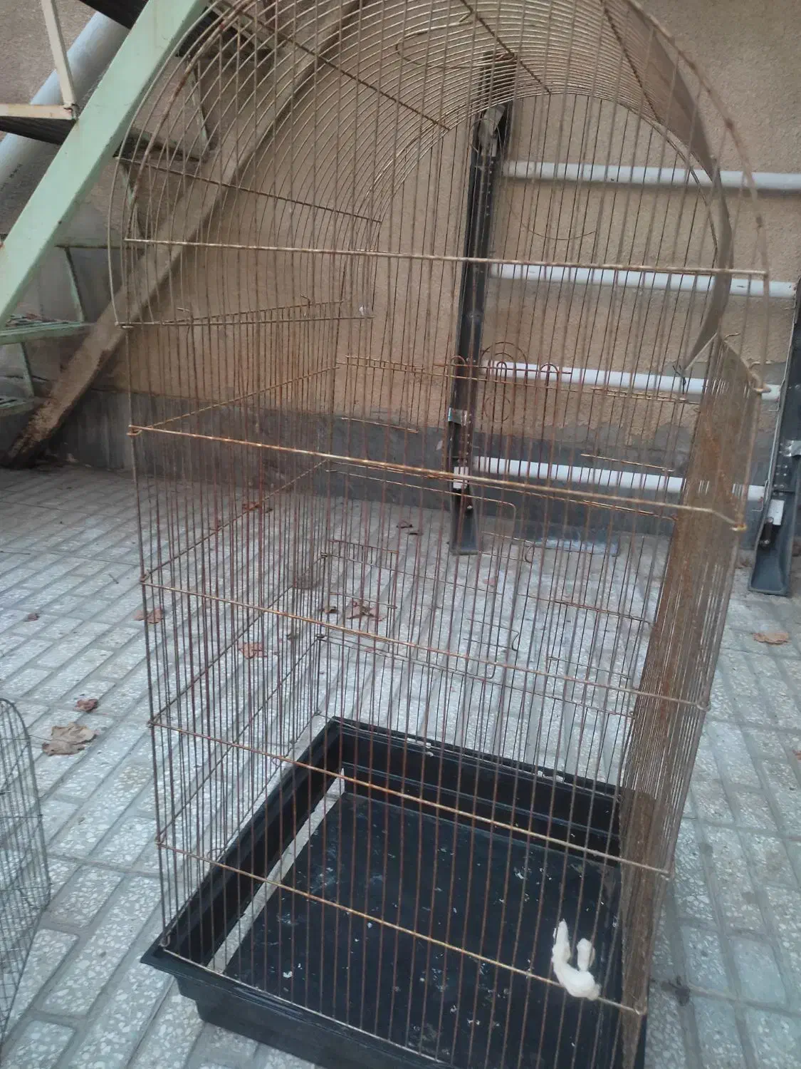 قفس|لوازم جانبی حیوانات|سبزوار, بیهق شرقی|دیوار