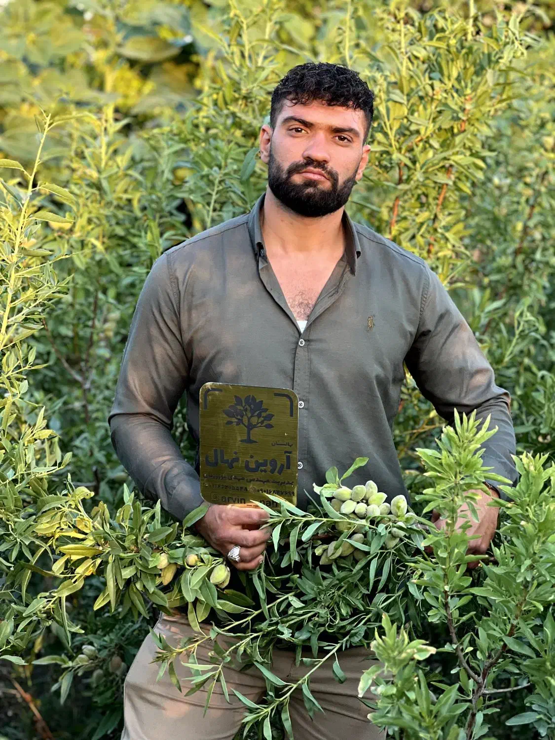 نهالستان آروین|خدمات باغبانی و درختکاری|یزد, |دیوار