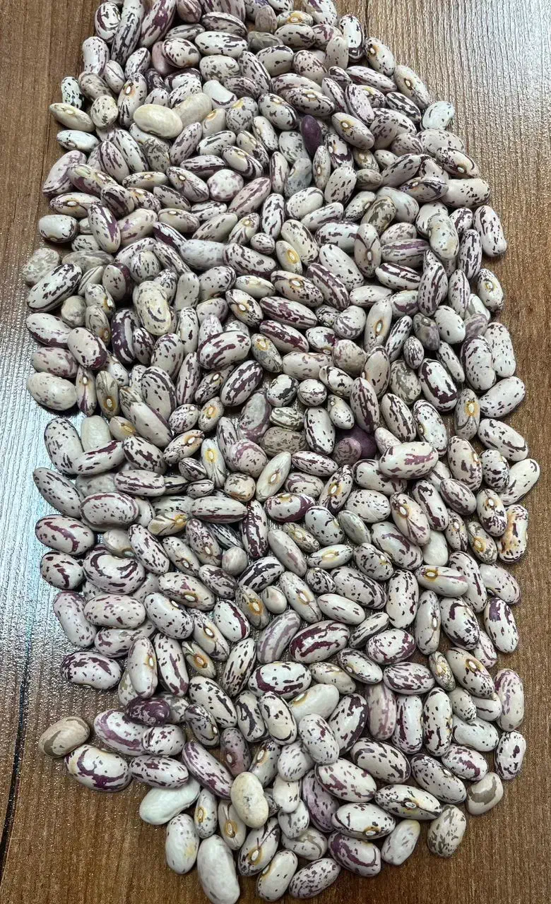 لوبیااعلا بشرط پخت لوبیااعلا|خوردنی و آشامیدنی|کرمانشاه, |دیوار