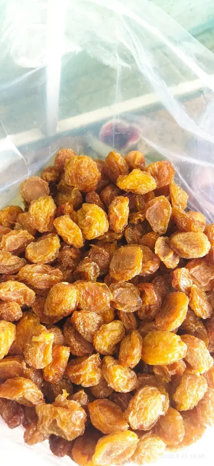 آلو جوشوندنی|خوردنی و آشامیدنی|شیراز, زیباشهر|دیوار