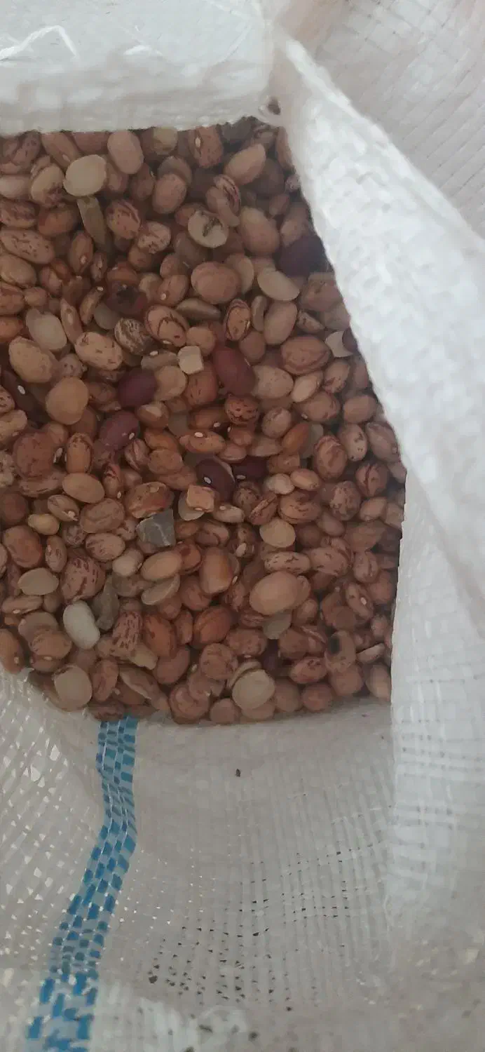 حبوبات درجه دو|عمدهفروشی|رشت, حومه رشت|دیوار