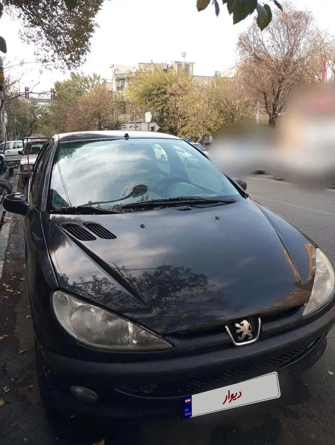 پژو فنی سالم|خودرو سواری و وانت|تهران, جیحون|دیوار