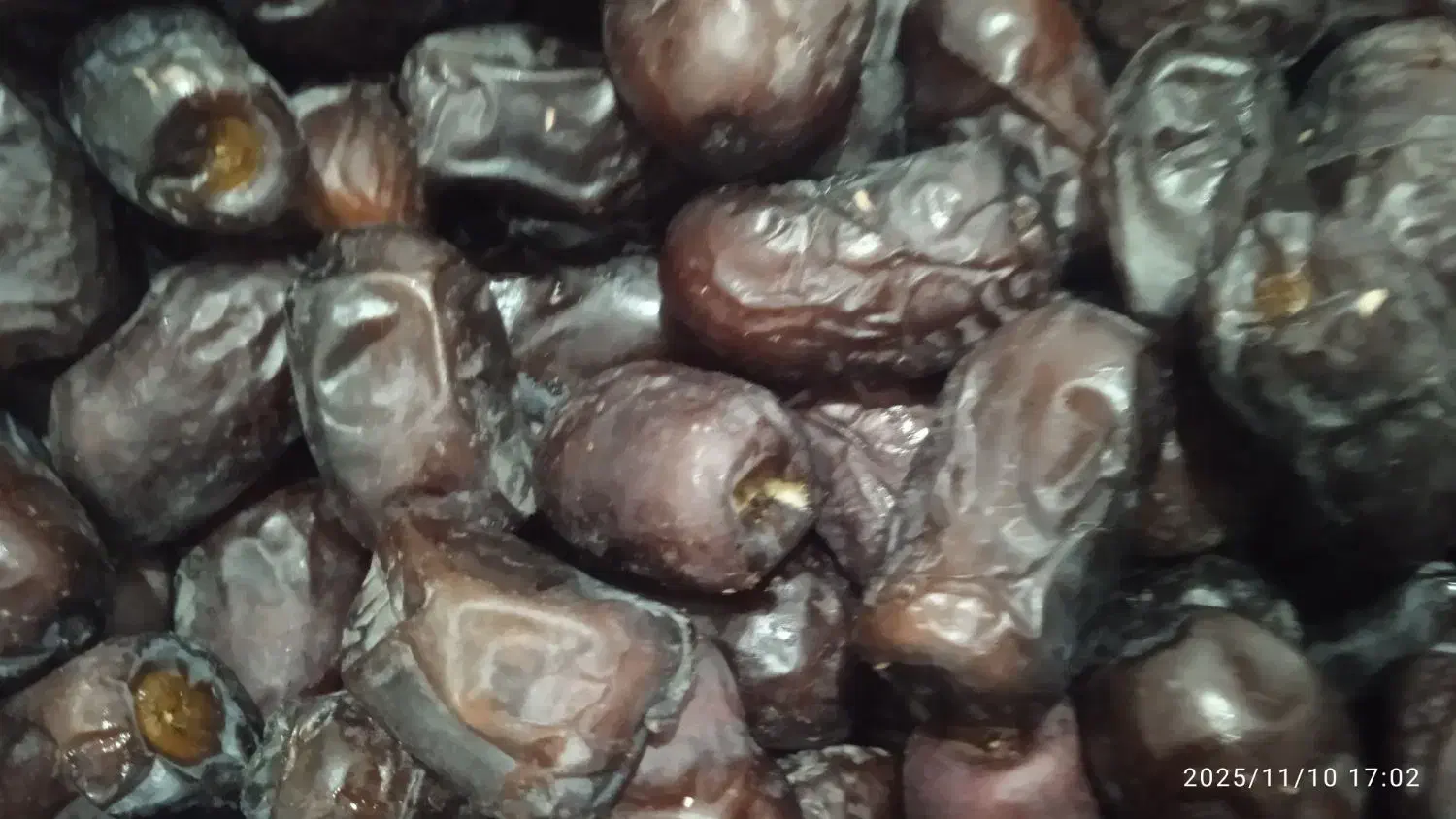 خرما فروشی 5کیلویی|خوردنی و آشامیدنی|دهبکری, |دیوار