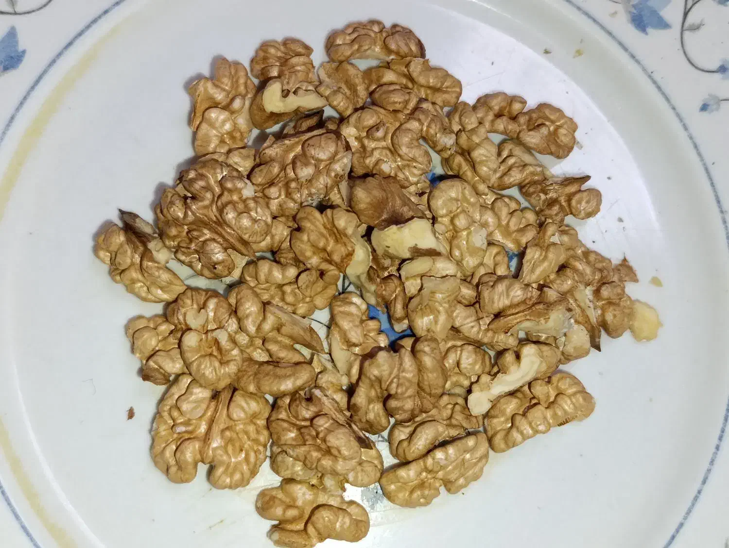 مغز گردو|خوردنی و آشامیدنی|پلدختر, |دیوار
