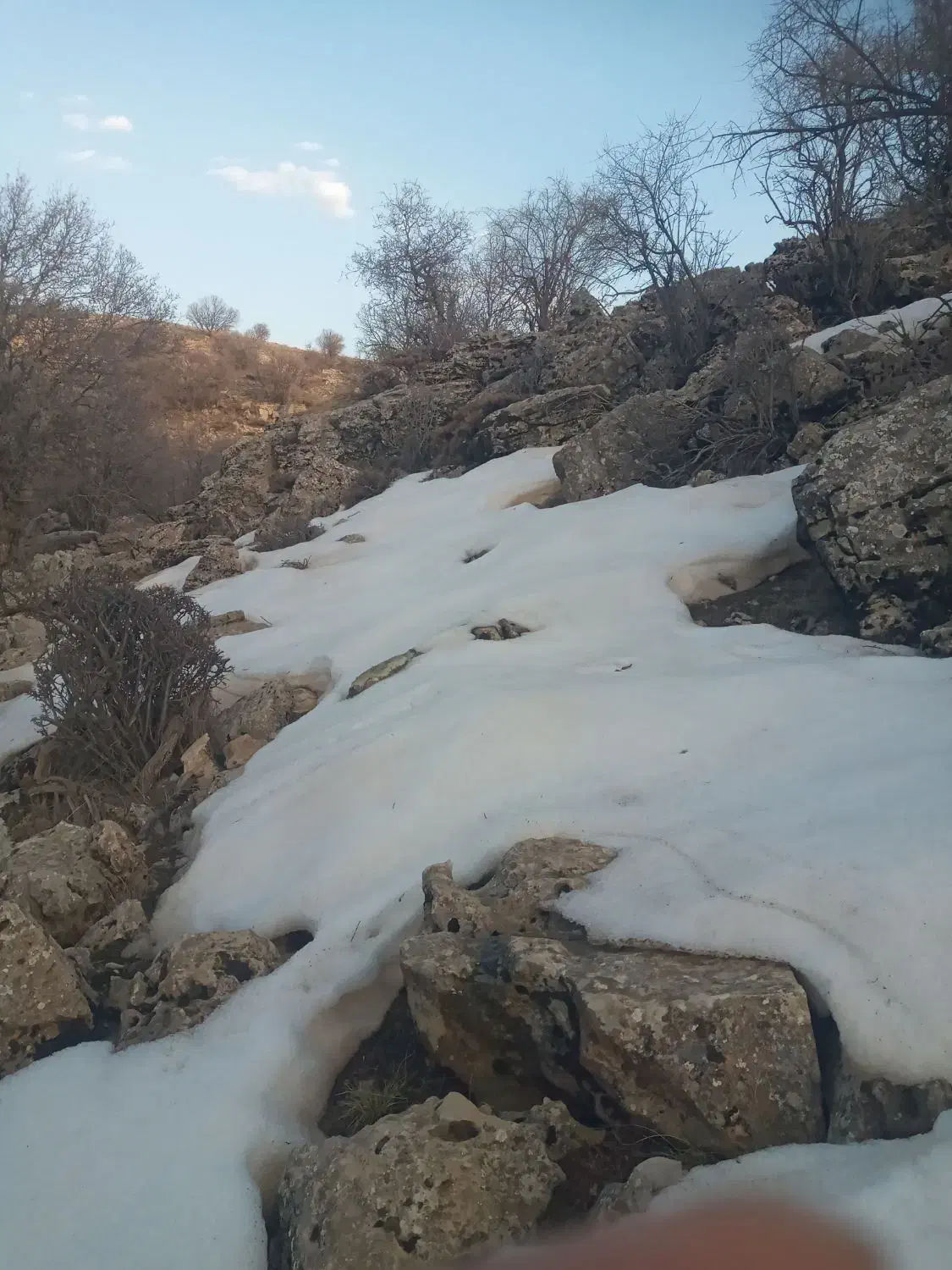 پیکان۸۱|کوهنوردی و کمپینگ|سرپل ذهاب, |دیوار