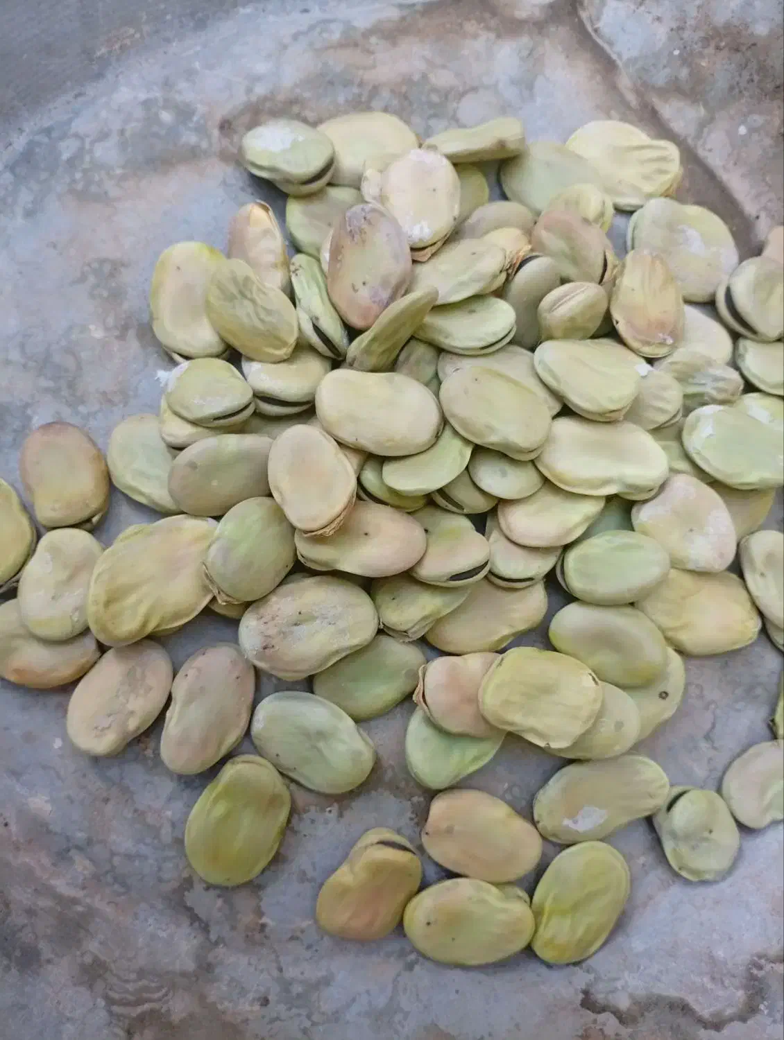 باقله بزری|خوردنی و آشامیدنی|بیستون, |دیوار