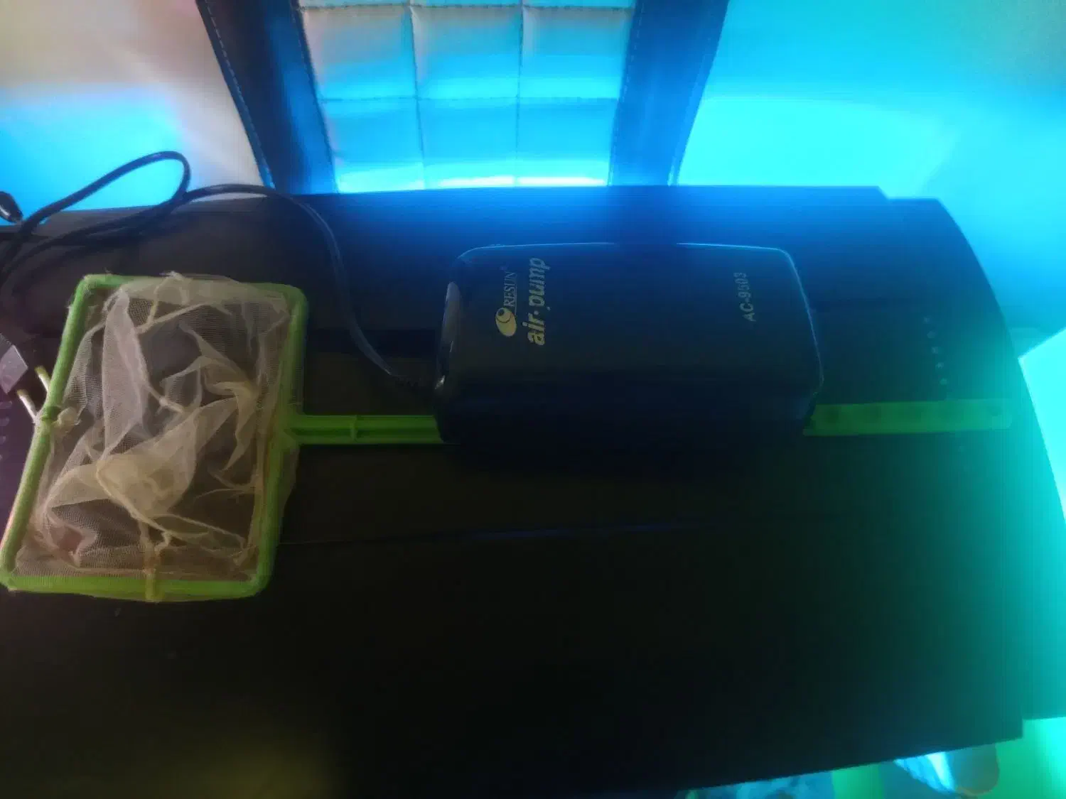 آکواریوم شرکتی هایلا|ماهی|تهران, افسریه شمالی|دیوار