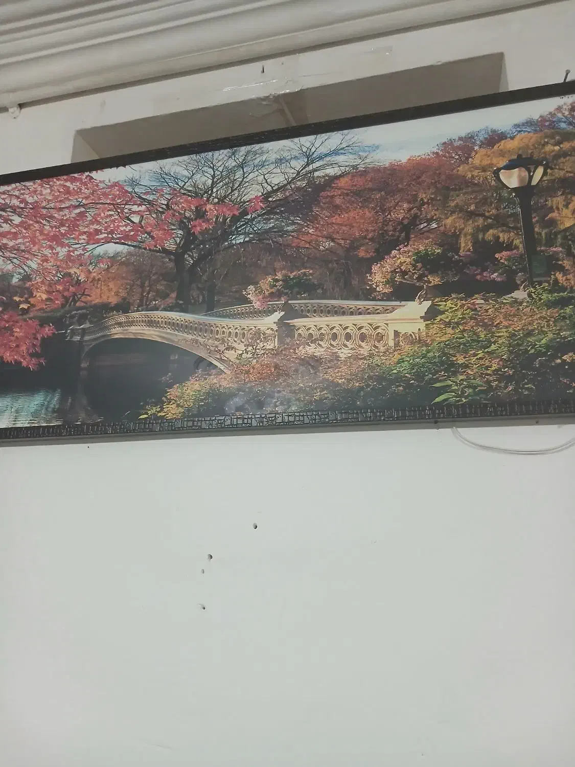 فروشی|تابلو، نقاشی، عکس|فردیس, شهرک ارم|دیوار