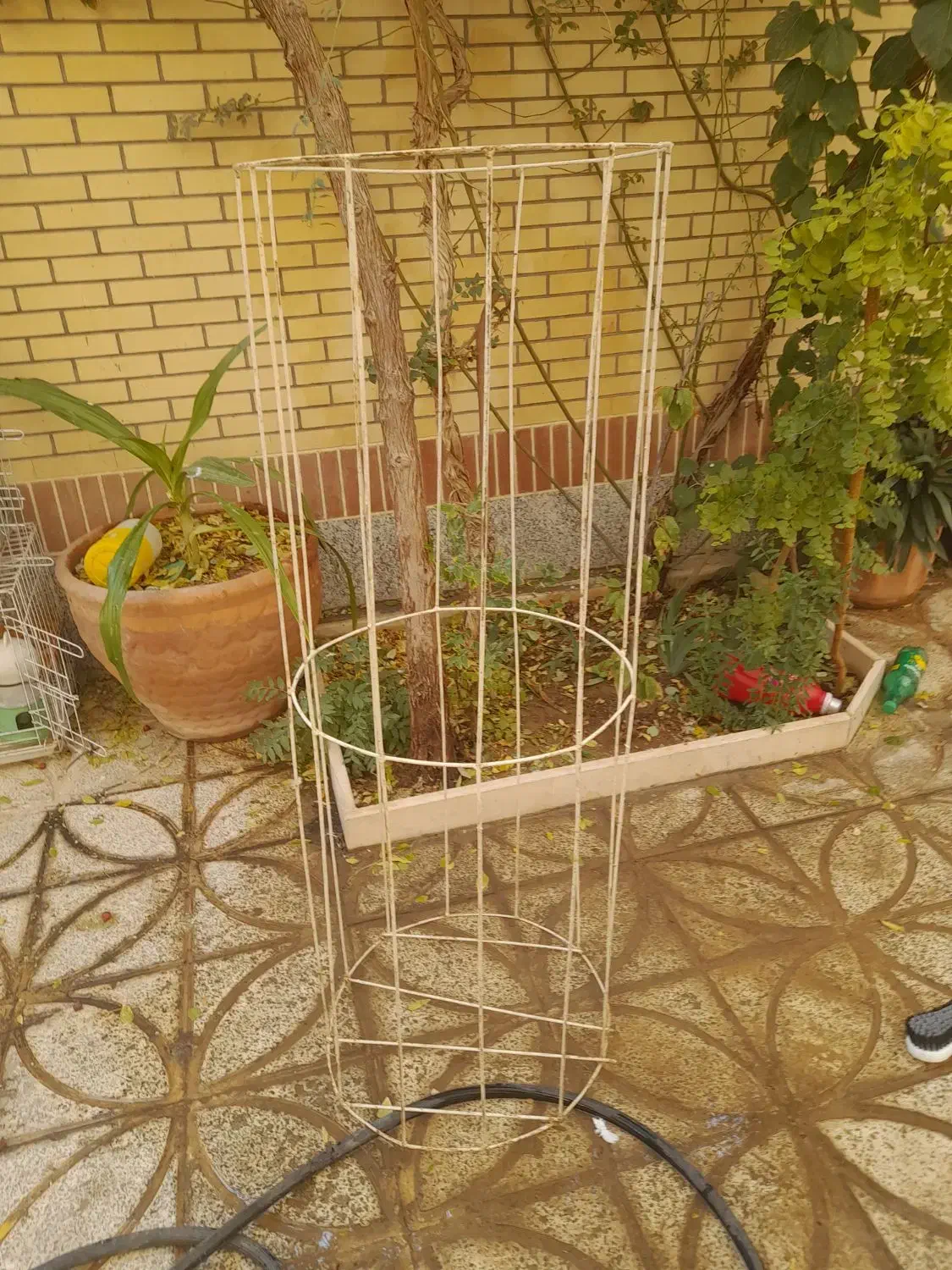 استند توپ|فروشگاه و مغازه|برخوار, |دیوار