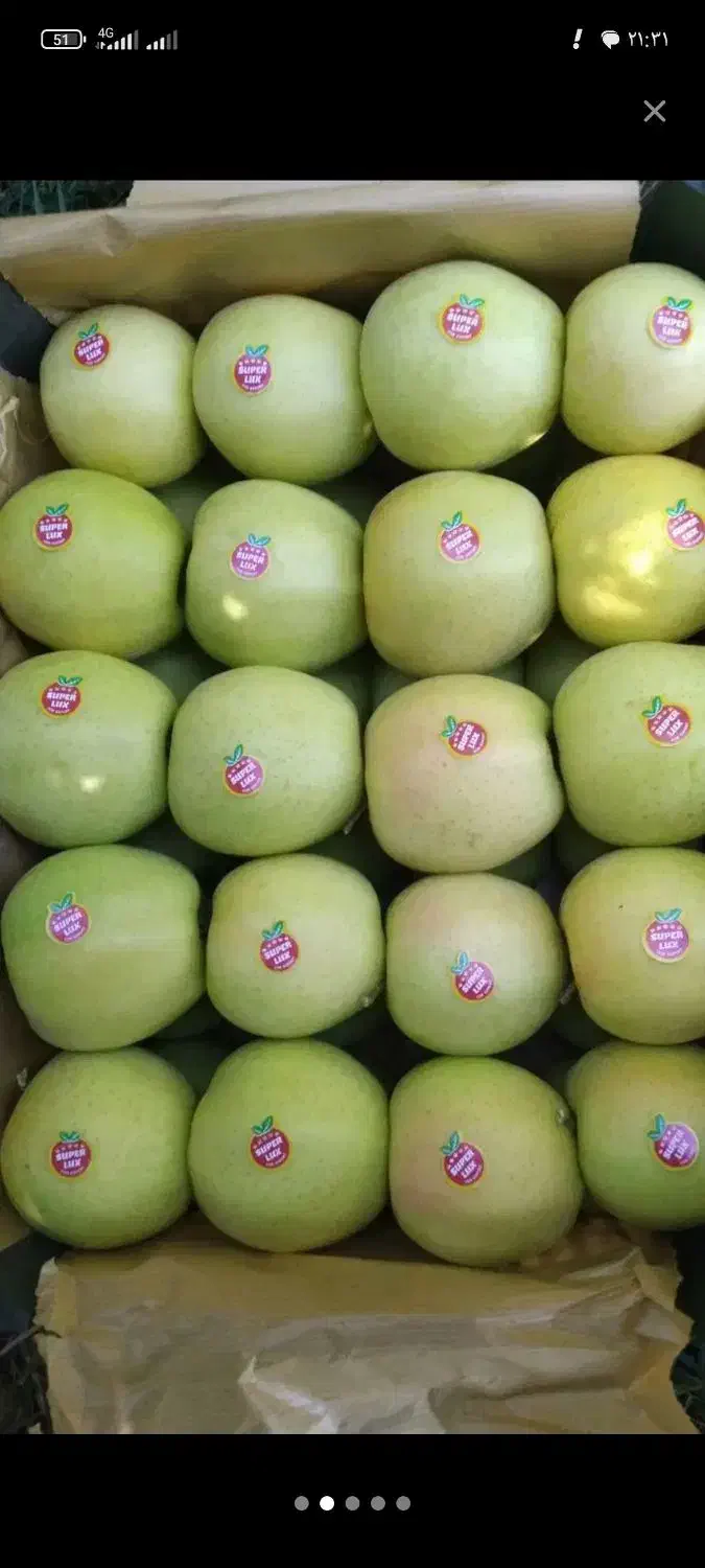 سیب سفید دو ردیفه|خوردنی و آشامیدنی|نقده, |دیوار