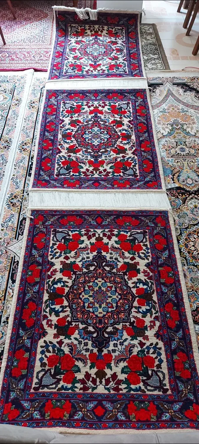 فرش دستبافت|فرش|سنندج, |دیوار