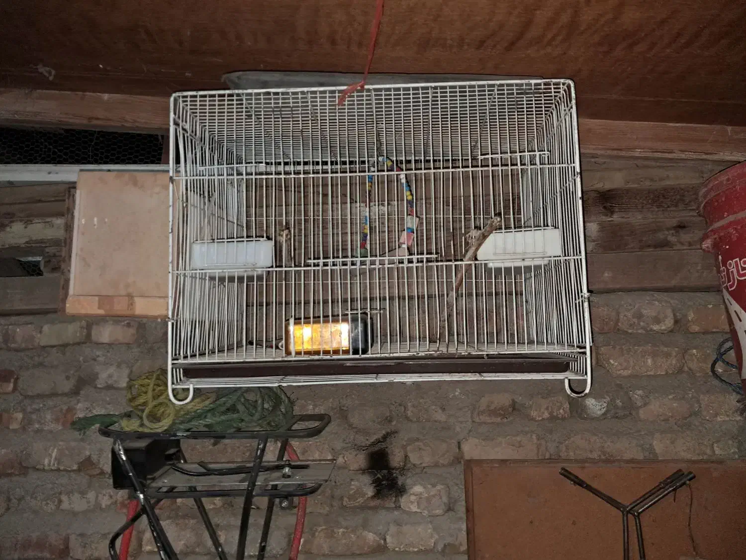 قفس عروس هلندی|لوازم جانبی حیوانات|گنبد کاووس, |دیوار