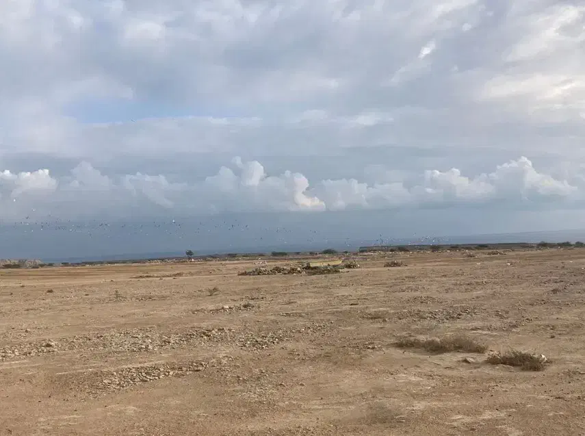 فروش زمین|فروش زمین و ملک کلنگی|قشم, |دیوار